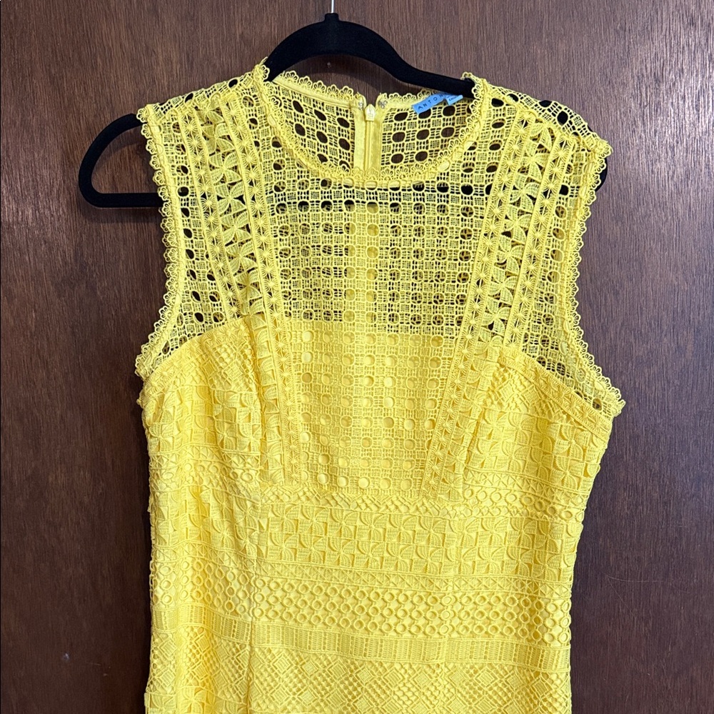 ANTONIO MELANI Sunlit Lace Dress